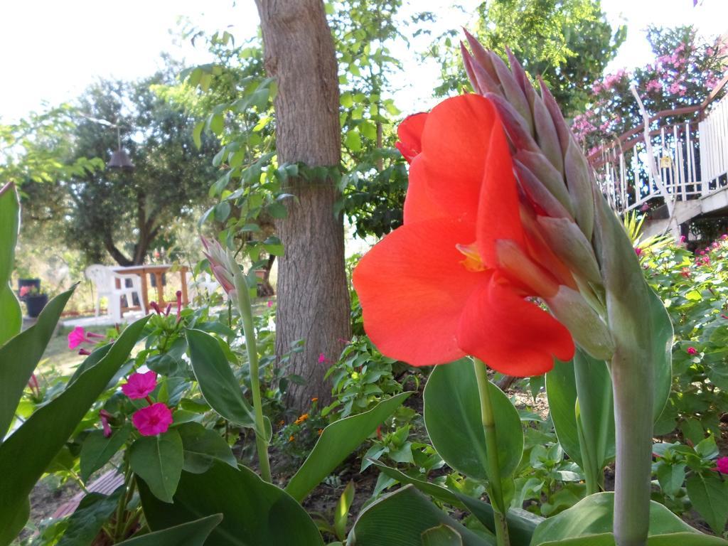 טורוני Bozelia Apartments מראה חיצוני תמונה