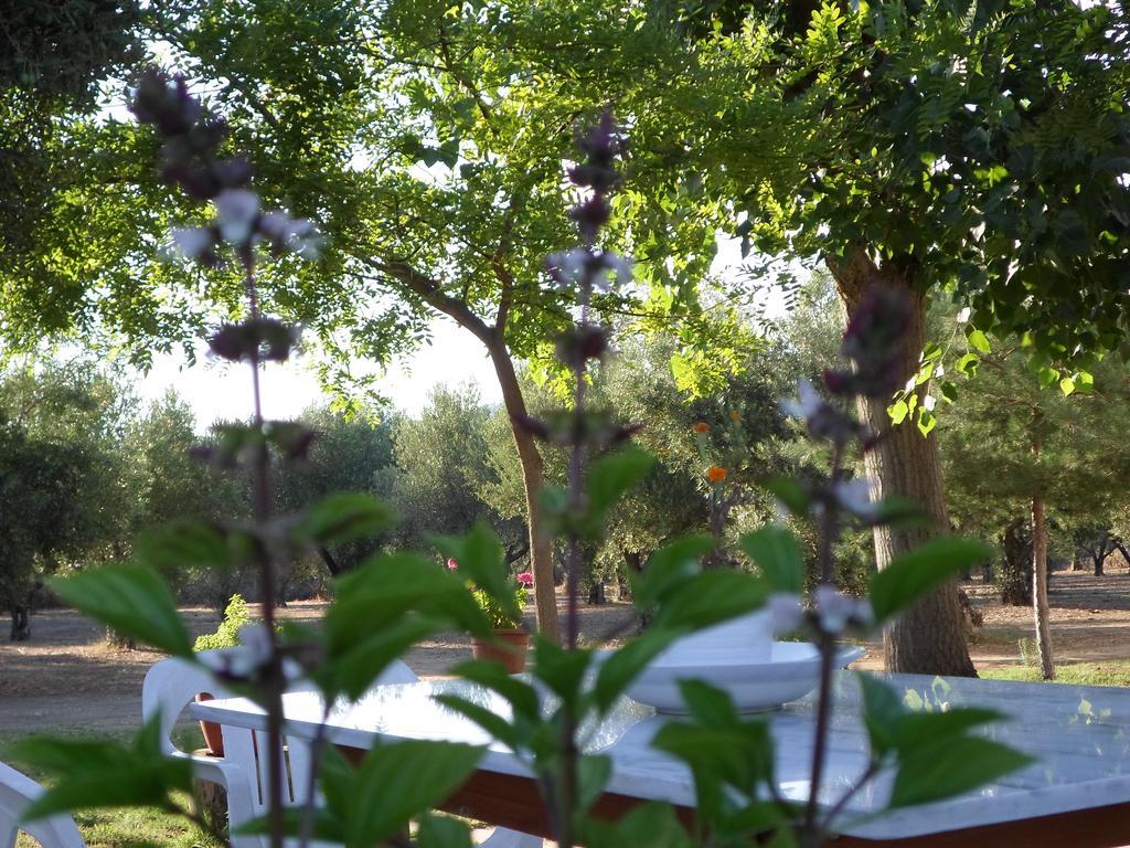 טורוני Bozelia Apartments מראה חיצוני תמונה